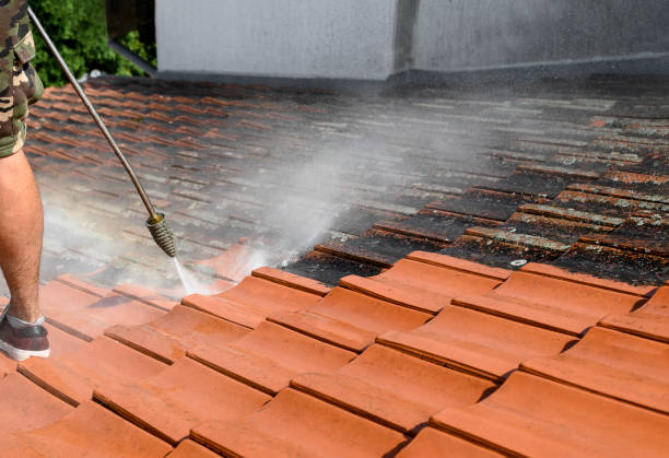 Buena Vista, CO Pressure Washing Company